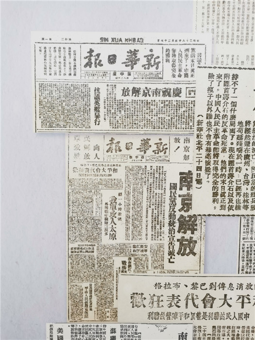2025年新跑狗图最新版跑狗图,探索2025年新跑狗图，最新版跑狗图的深度解析