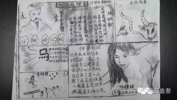 管家婆白小姐四肖四码,揭秘管家婆白小姐与四肖四码传奇