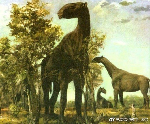 四不像正版 正版四不像图片2025,探索正版四不像，独特的艺术魅力与图片世界（2025年观察）